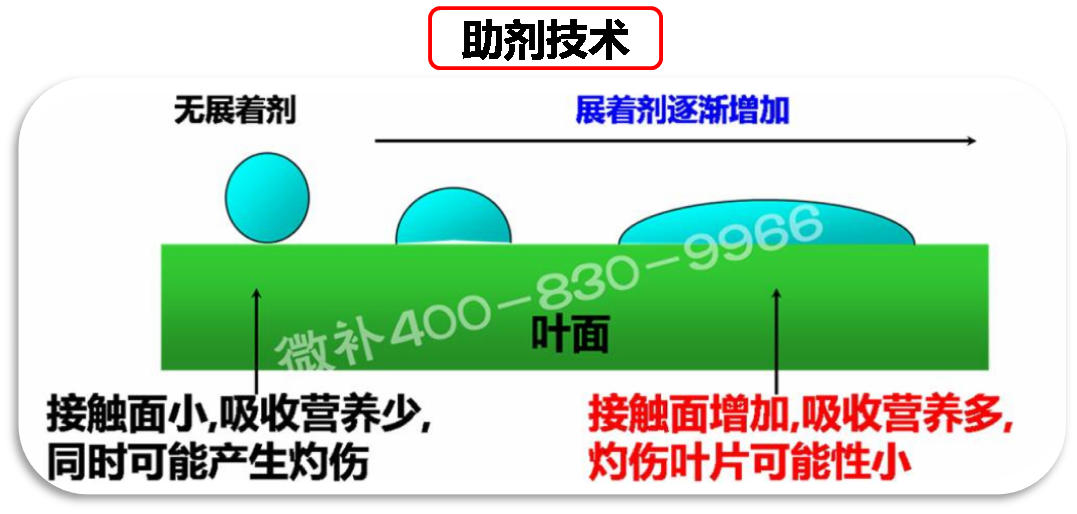 余教授德國鄉(xiāng)村行：我在德國為什么不會點啤酒了？