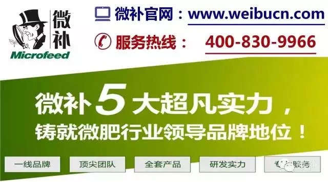 余教授奧地利鄉(xiāng)村行：萬科為什么說把奧地利小鎮(zhèn)搬回來？