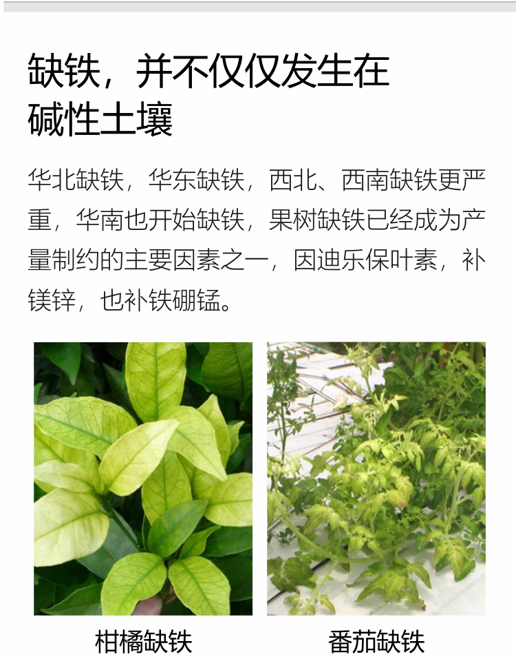 因迪樂(lè)有機(jī)保葉素_08.jpg